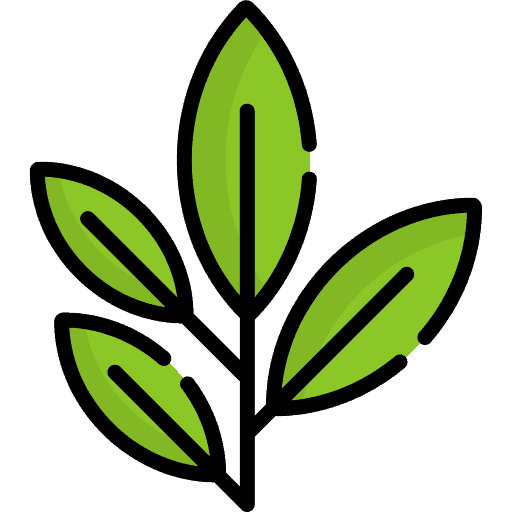 Meilleur broyeur de végétaux