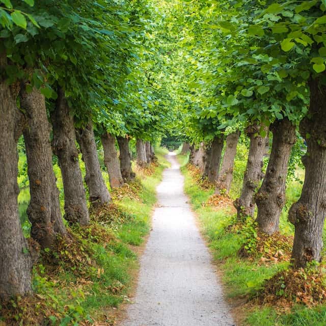 wim-van-t-einde-fAA-NKhBGZE-unsplash